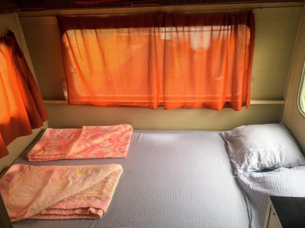 Camping Oaza Bela Crkva  Esterno foto