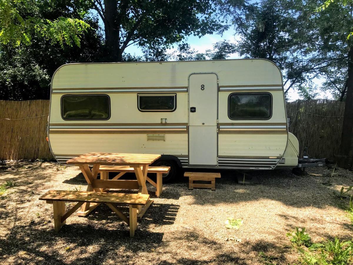 Camping Oaza Bela Crkva  Esterno foto