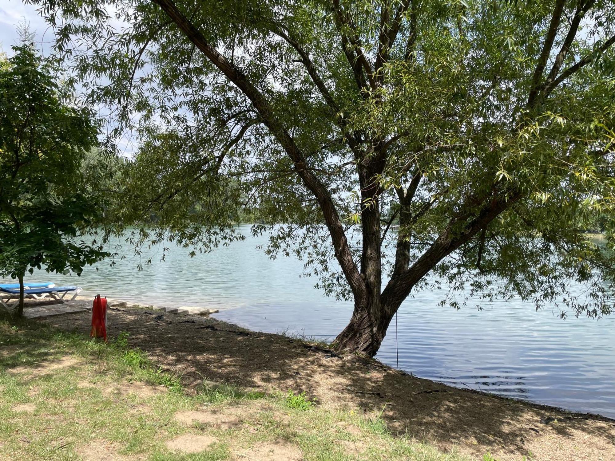 Camping Oaza Bela Crkva  Esterno foto
