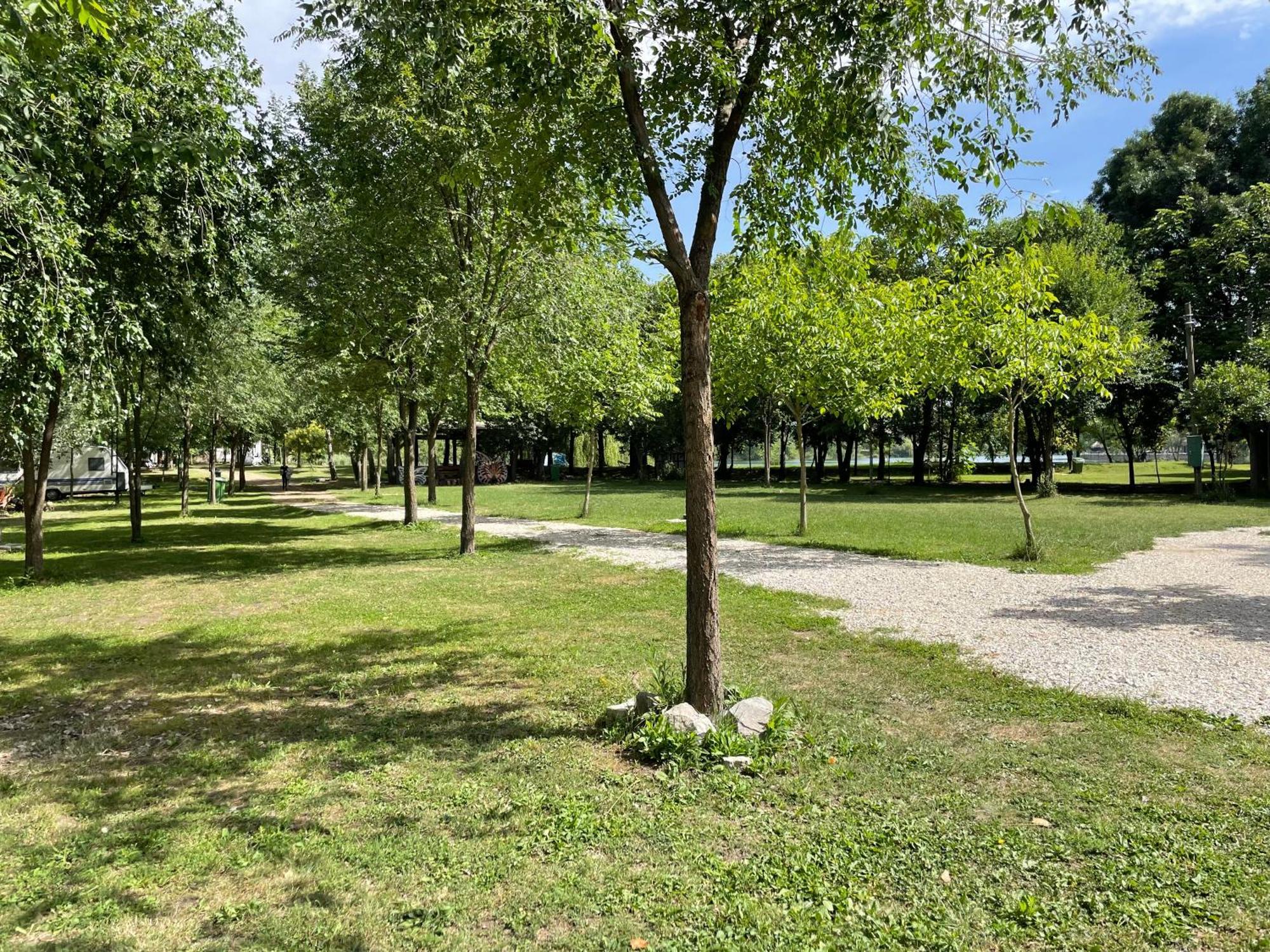 Camping Oaza Bela Crkva  Esterno foto